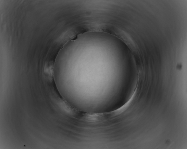 X0000102010190200807181237
