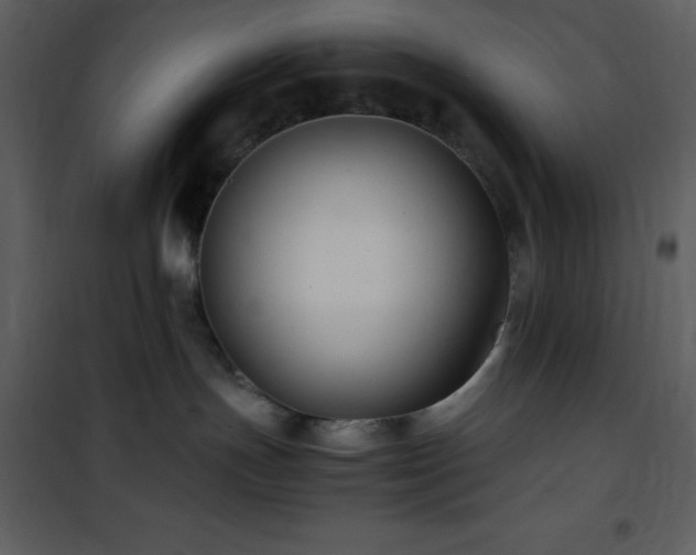 X0000102010191200807181237