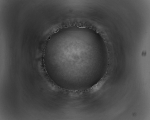 X0000102010192200807181237