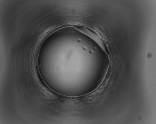 X0000102010193200807181236