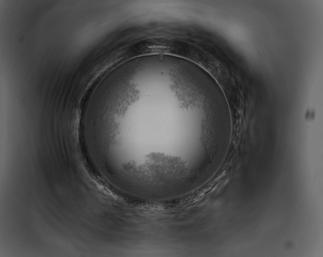 X0000102010194200807181236