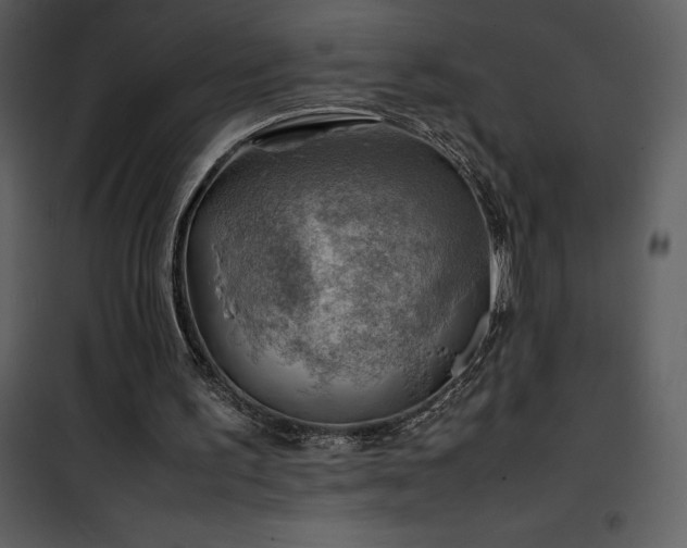 X0000102010195200807181236