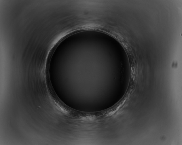 X0000102010196200807181236