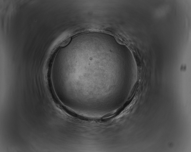 X0000102010197200807181236