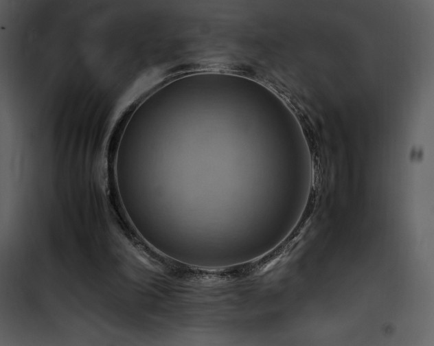 X0000102010198200807181236