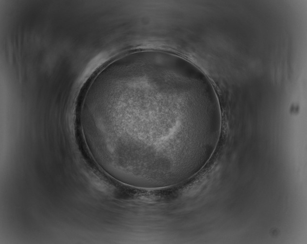 X0000102010199200807181236