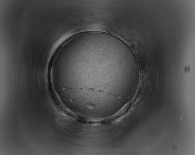 X0000102010200200807181236