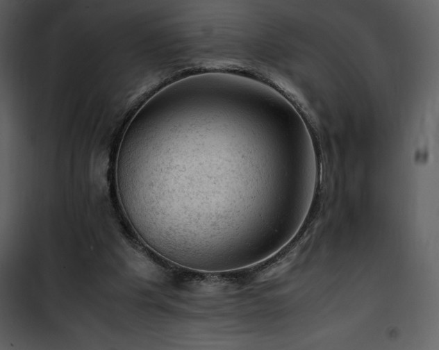 X0000102010201200807181236
