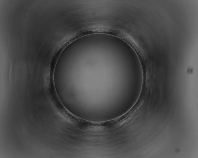 X0000102010202200807181236