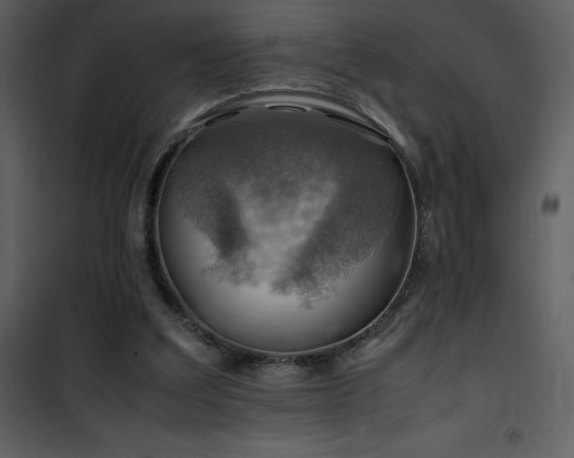 X0000102010203200807181236