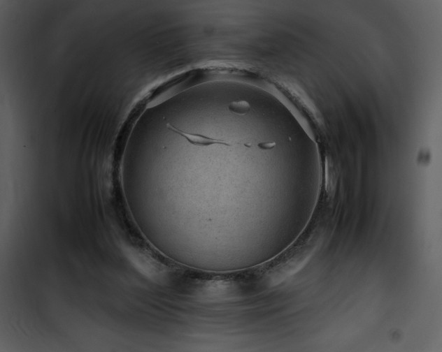 X0000102010204200807181236