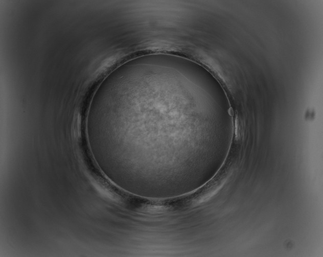 X0000102010205200807181236