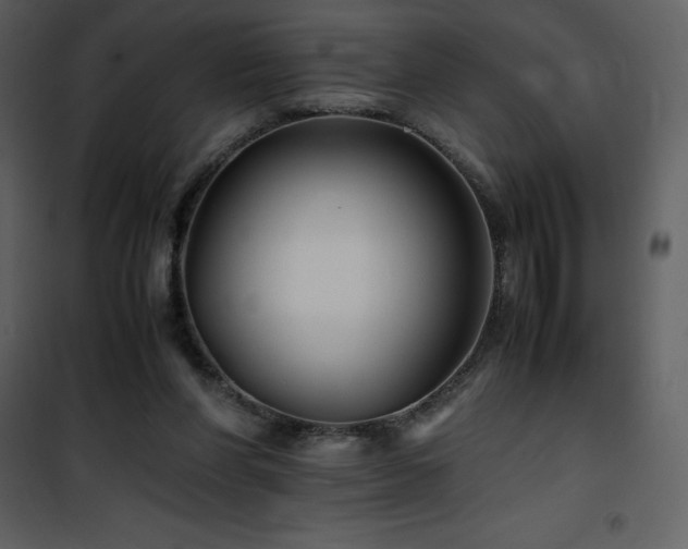 X0000102010206200807181236