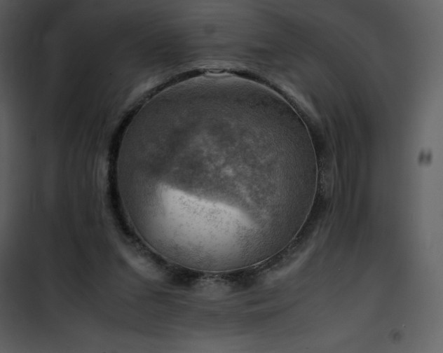 X0000102010207200807181236