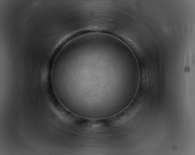 X0000102010208200807181236