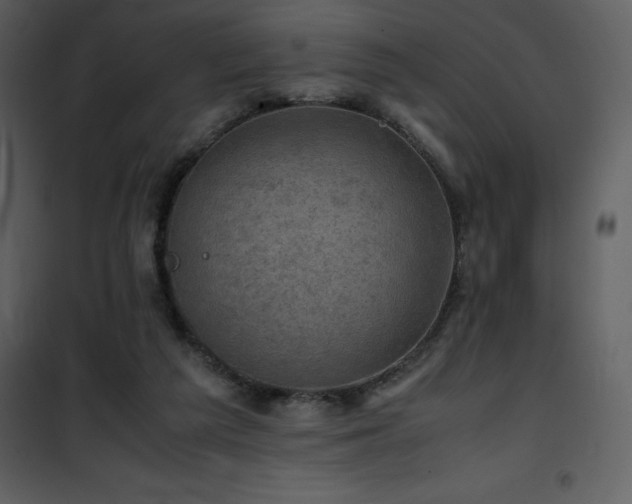 X0000102010209200807181236