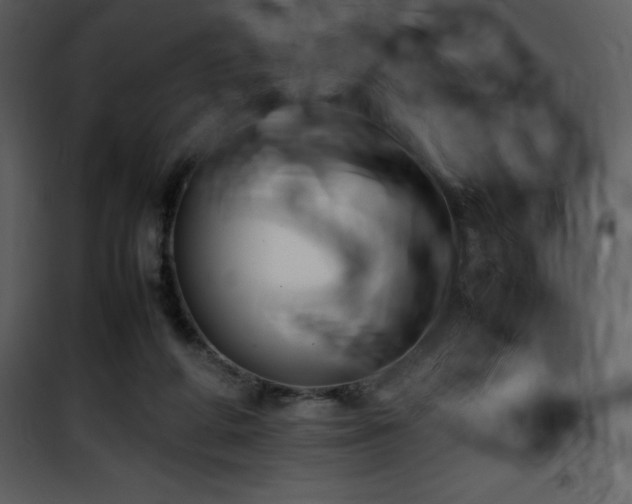 X0000102010210200807181236