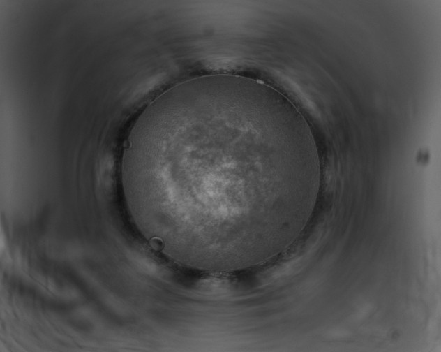 X0000102010211200807181236
