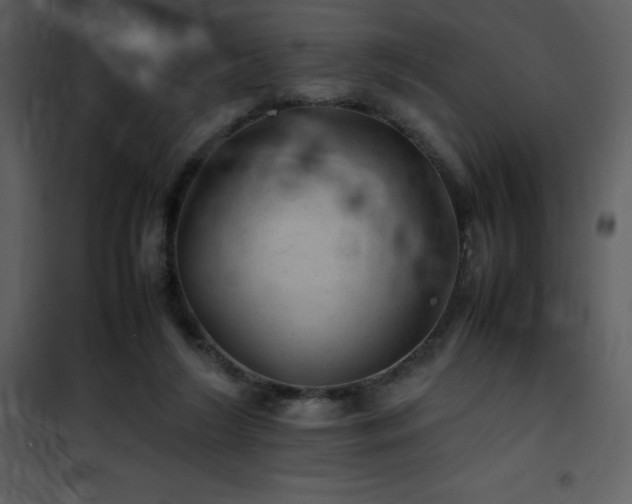 X0000102010212200807181236