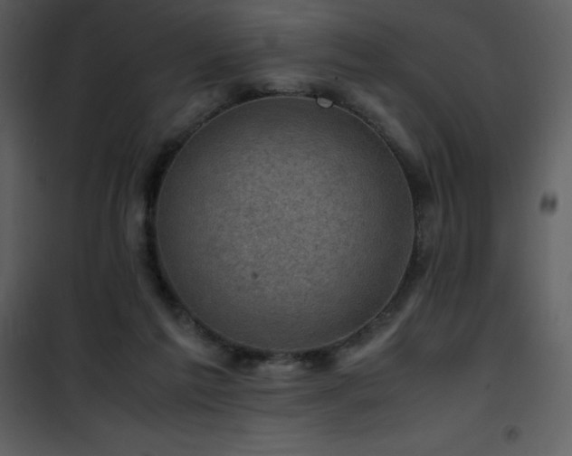 X0000102010213200807181236