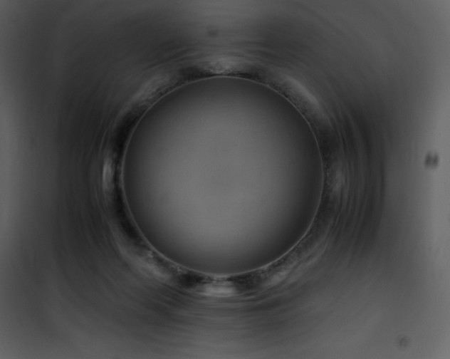 X0000102010214200807181236