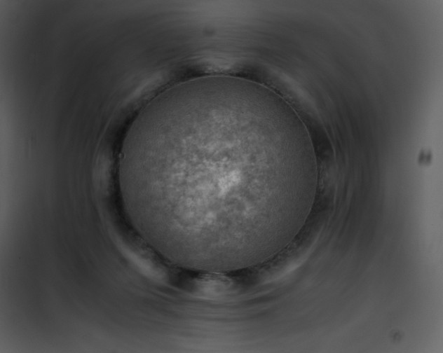 X0000102010215200807181236