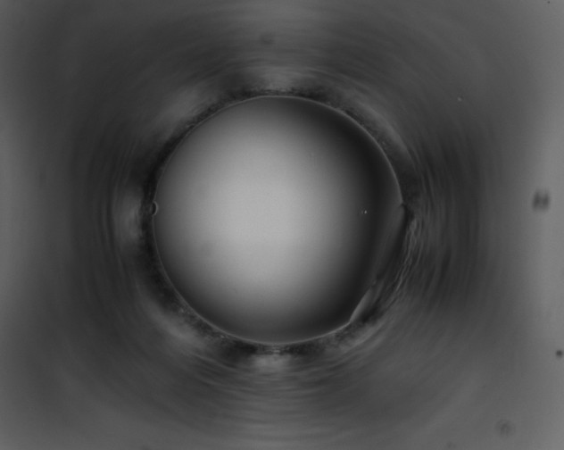 X0000102010216200807181236