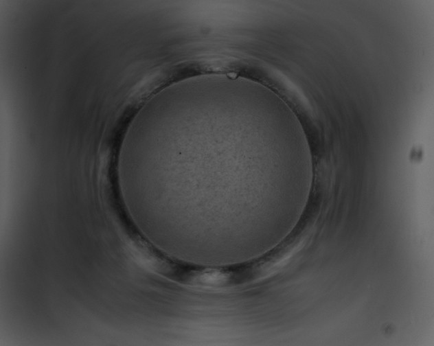 X0000102010217200807181236