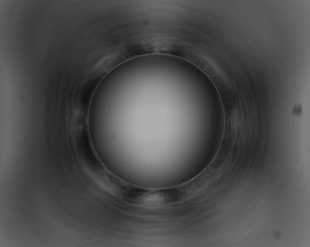 X0000102010218200807181236