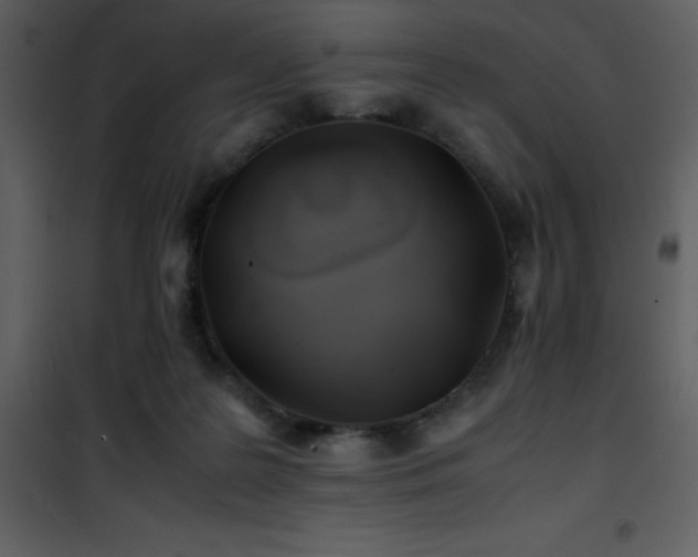 X0000102010219200807181236