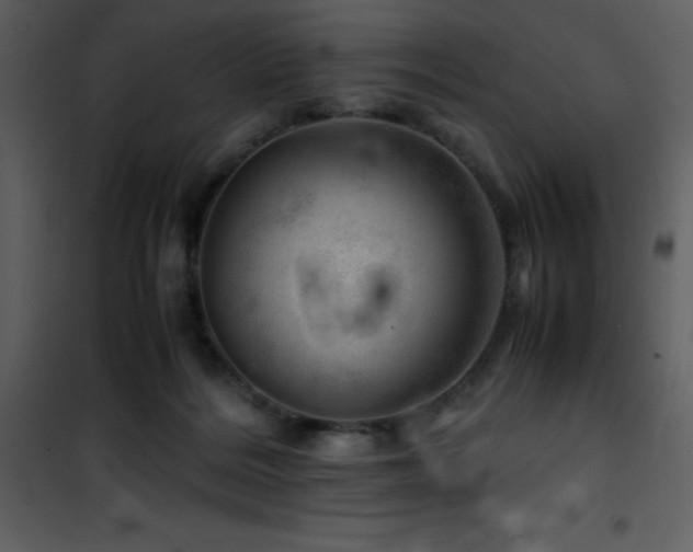 X0000102010220200807181236