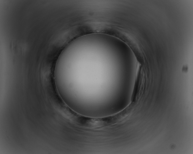 X0000102010221200807181236