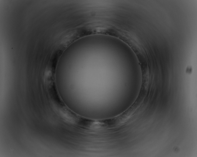 X0000102010222200807181236