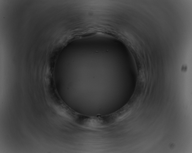X0000102010223200807181236