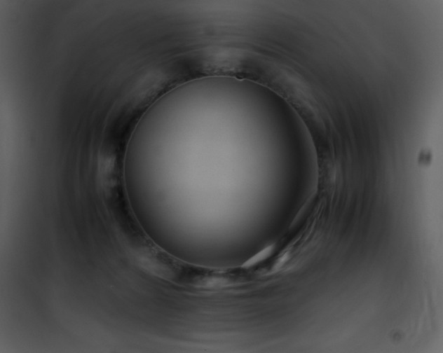 X0000102010224200807181236