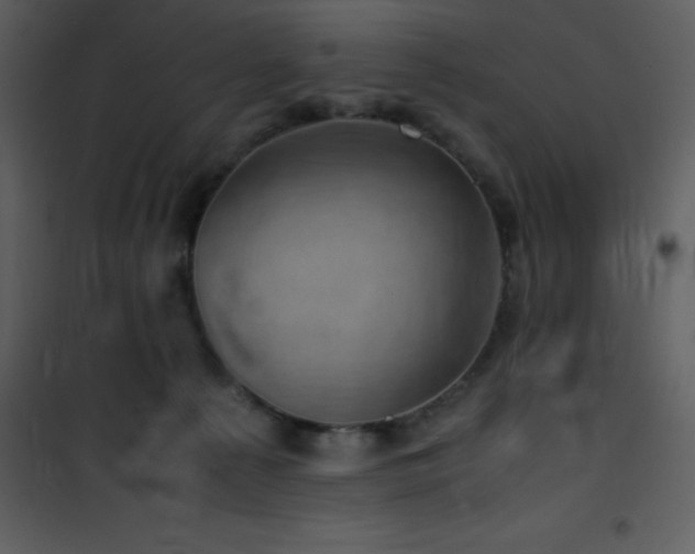 X0000102010225200807181236