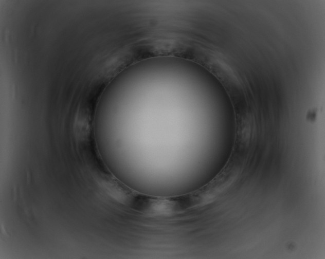X0000102010226200807181236