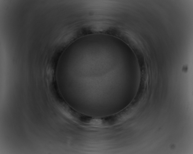 X0000102010227200807181236