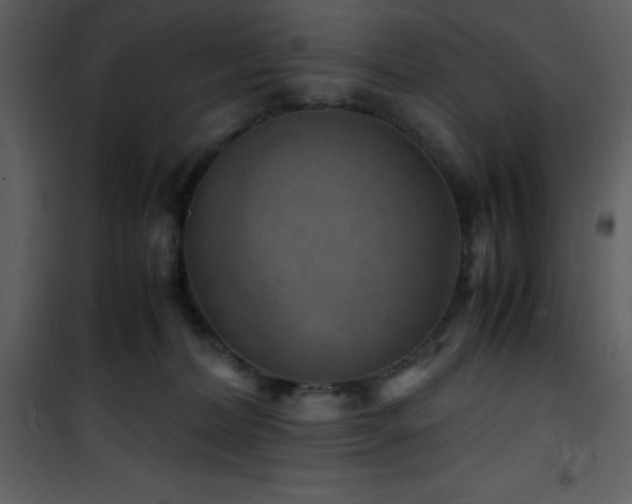 X0000102010228200807181236