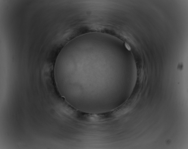 X0000102010229200807181236