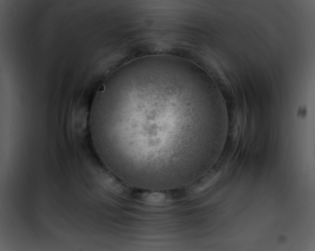X0000102010230200807181236