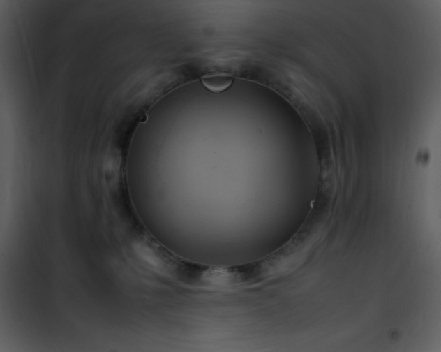 X0000102010231200807181236