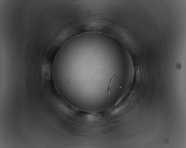 X0000102010232200807181236