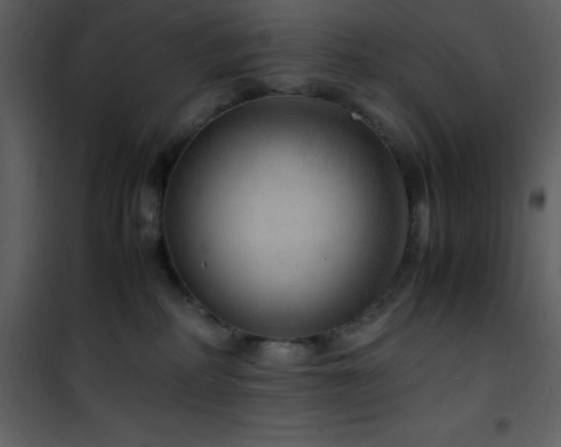 X0000102010234200807181235