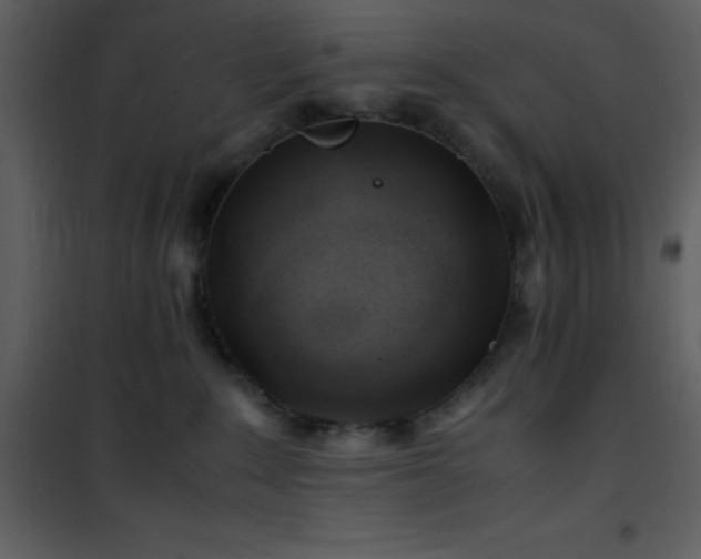 X0000102010235200807181235