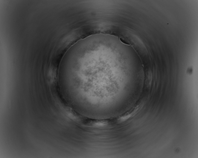 X0000102010236200807181235