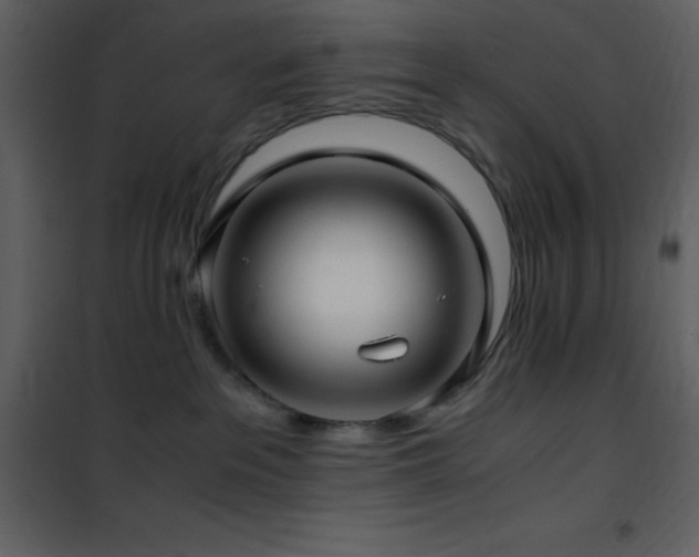 X0000102010237200807181235