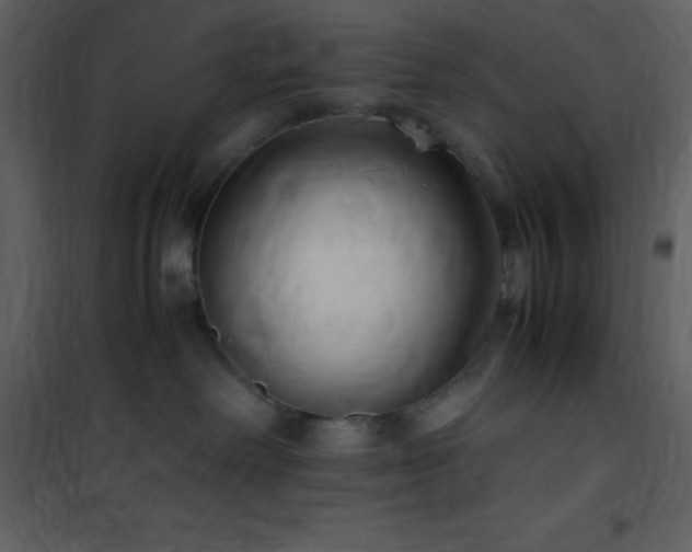 X0000102010238200807181235
