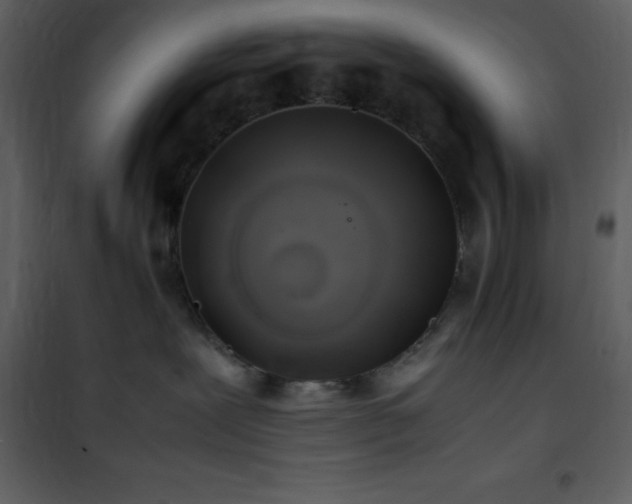 X0000102010239200807181235