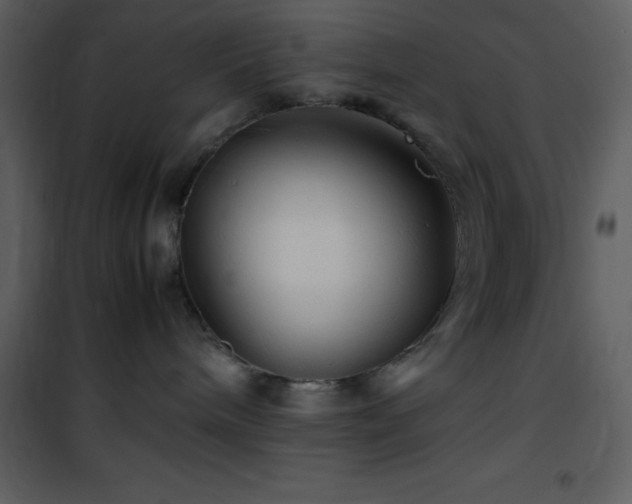 X0000102010240200807181235